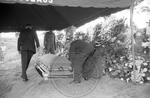 Faulkner funeral, image 048 by Martin J. Dain