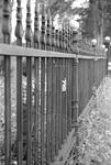 Fence, image 001 by Martin J. Dain