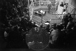 Livestock auction, image 012