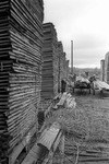 Lumber, image 019 by Martin J. Dain