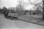 Mark Payne and wagon, image 003 by Martin J. Dain