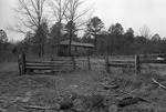 Rural Mississippi, image 051 by Martin J. Dain