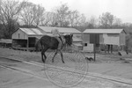 Rural Mississippi, image 081 by Martin J. Dain