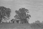 Rural Mississippi, image 107 by Martin J. Dain