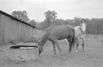 Rural Mississippi, image 123 by Martin J. Dain