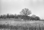 Rural Mississippi, image 070 by Martin J. Dain