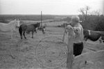 Rural Mississippi, image 135 by Martin J. Dain