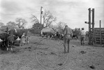 Rural Mississippi, image 136 by Martin J. Dain