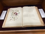 Display case. Catesby’s Illustrated Guide by University of Mississippi. Department of Archives and Special Collections