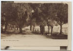 Shell Road, Biloxi, Miss. by Publisher Unknown