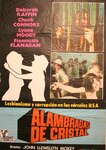 Nightmare in Badham County. Spanish poster. by Hispamex Films, S.A.