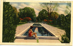 A Picturesque Mississippi Garden by Curteich (Chicago, Ill.)