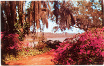 Holly Bluff Gardens by Chauncey T. Hinman (Gulfport, Miss.)