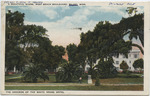 A Beautiful Scene, West Beach Boulevard, Biloxi, Miss. The Grounds of the White House Hotel by A. S. Grieff Book and Stationery Co. (Biloxi, Miss.)