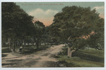 Beach Drive on Shell Road, Gulfport, Miss. by Jones Bros., Publishers