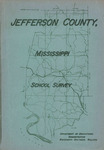 School survey: Jefferson County, Mississippi, 1955 by Mississippi Southern College. Department of Educational Administration