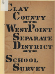 The report of a survey of the public schools of Clay County and West Point Separate School District