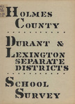 The report of a survey of the public schools of Holmes County, Durant Separate School District, and Lexington Separate School District