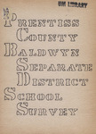 The report of a survey of the public schools of Prentiss County and Baldwyn Separate School District