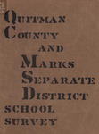 The report of a survey of the public schools of Quitman County and Marks Separate School District