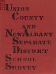 The report of a survey of the public schools of Union County and New Albany Separate School District