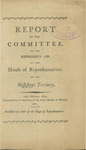 Report of the Committee on the Representation of the House of Representatives of the Mississippi Territory by Mississippi. General Assembly. House of Representatives. Committee on the Representation of the House of Representatives and Mississippi. Legislature. House of Representatives