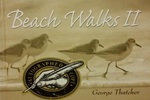 Beach Walks II by George Thatcher