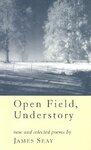 Open Field, Understory by James Seay