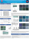 Voltage-dependent anion Channels (VDACs) possess a BH3-like Domain Capable of Functionally Complementing the BH3 Domains of Bax and Bcl-xL by Saroj Nepal, Clement Agyemang, Mika Jekabsons, and Bradley W. Jones