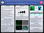 Analyzing the Neuroprotective Effects of Phytoestrogens and Aromatase on Male Zebra Finch Cerebellum Post Lesion by Tony Irovic, Grace Thompson, and Lainy B. Day