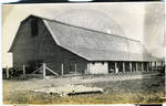 Livestock barn on the penitentiary by Martha Alice Stewart