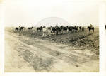 Mules and prisoners plowing fields by Martha Alice Stewart