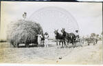 Prisoners loading hay wagons by Martha Alice Stewart