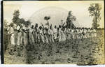Prisoners hoeing weeds in cotton field by Martha Alice Stewart