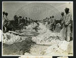 Prisoners dumping cotton sacks by Martha Alice Stewart