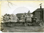 Prisoners taking truck and trailer load of cotton to gin by Martha Alice Stewart