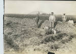 Pap Tabor in suit in potato field by Martha Alice Stewart