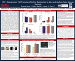R04. HIV-1 Glycoprotein 120 Promotes Affective Dysfunction in Mice and Medium Spiny Neuron Necrosis by Emaya Moss, Fakhri Mahdi, and Jason J. Paris