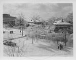 University of Mississippi (Peabody Snow Scene)