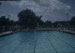 University of Mississippi (Swimming Pool) by John E. Phay and University of Mississippi. Bureau of Educational Research