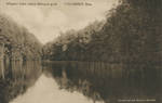 Alligator Lake, where fishing is good, Columbus, Miss by Divelbiss Book Store (Columbus, Miss.) and Albertype Co.