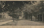 Liberty Street, Looking South, Canton, Miss.
