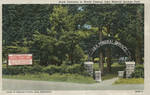 North Entrance to World Famous Iuka Mineral Springs Park by Demorse Studio (Iuka, Miss.) and Curt Teich & Co.