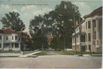 Greenville, Miss., Hinds St., looking North by Bradley, W. A. (Greenville, Miss.)