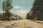 Washington Avenue, Greenville, Miss. by Rotograph Co.