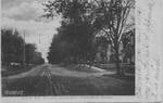 View of South Street, Oxford, Miss. by Albertype Co. and Davidson & Wardlaw (Oxford, Miss.)