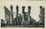 Ruins of Windsor near Port Gibson, Miss. by Curt Teich & Co.