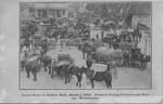 Street Scene in Ripley, Miss., March 1, 1909