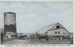 Montgomery Herd, "Oktibbeha, the Jersey County of the South," Starkville, Miss. by Auburn Post Card Mfg. Co.