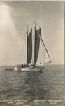 Oyster Schooner Gulf Coast, Southern Mississippi by L. L. Cook Company (Milwaukee, Wis.)